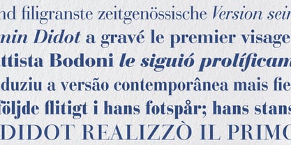 Bauer Bodoni Font Poster 5